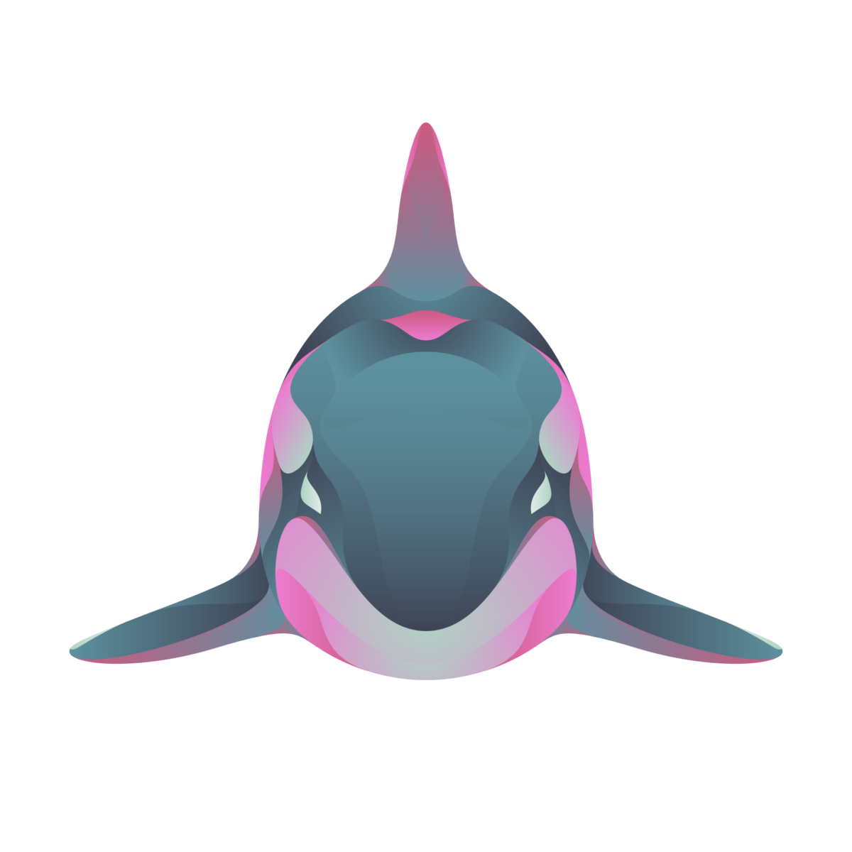 15. Orcinus Orca - DISAPPOINTED WILDLIFE