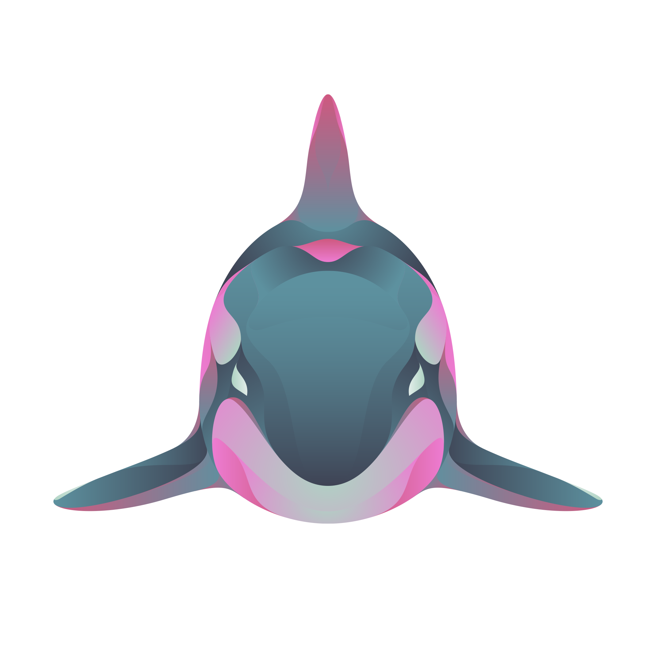 15-orcinus-orca-disappointed-wildlife