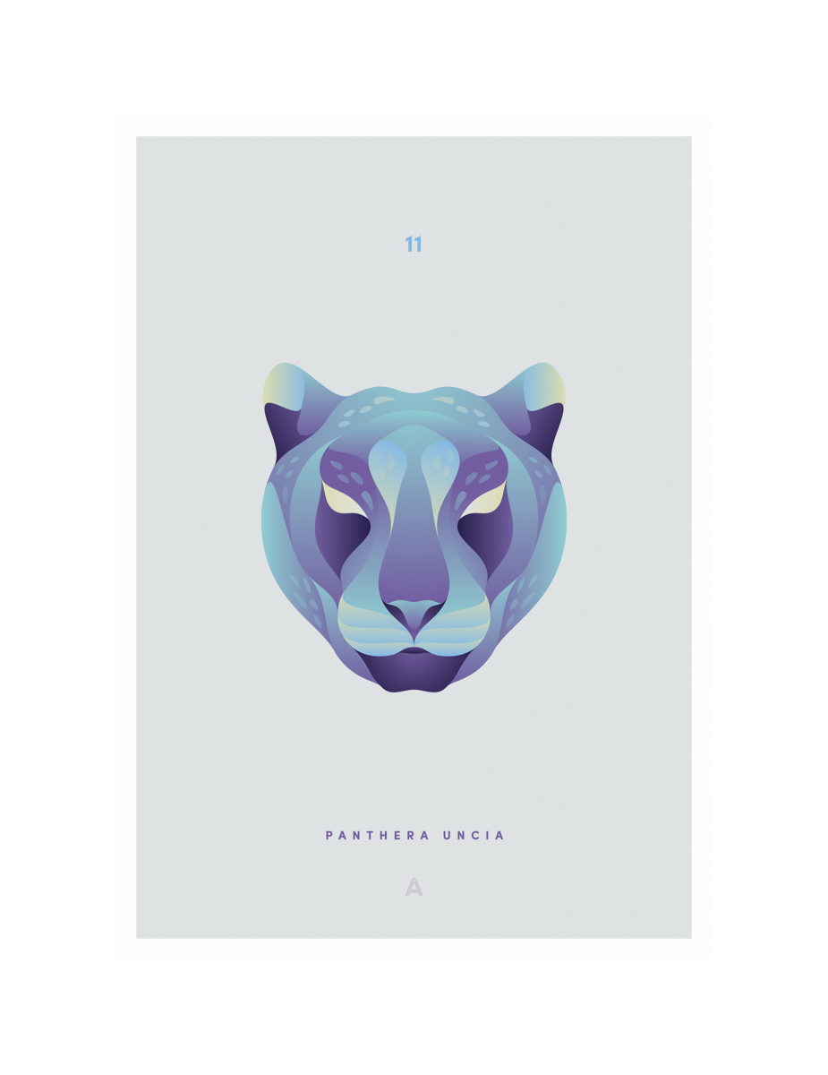 11. Panthera Uncia - DISAPPOINTED WILDLIFE